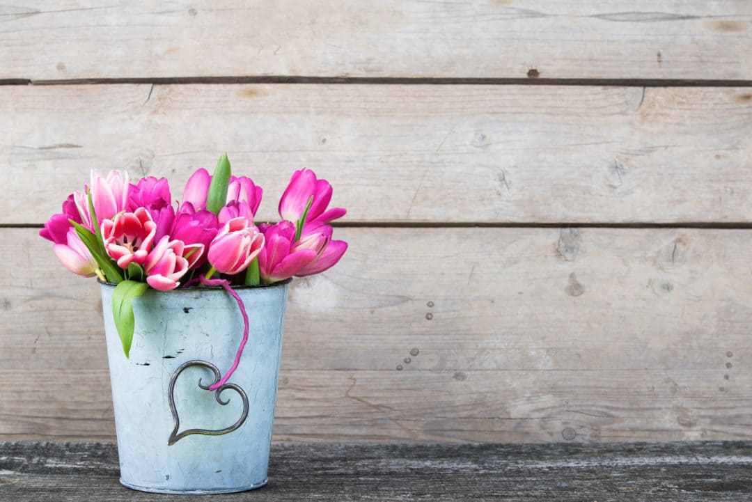 Tuplen in Shabby Vase, Shabby-Chic